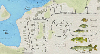 Lake Keesus, Waukesha County, Wisconsin Preview 2