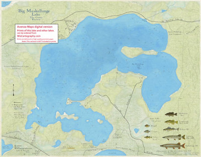 Big Muskellunge Lake, Vilas County, Wisconsin Preview 1