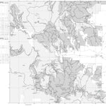 Rio Grande NF - Divide Ranger District (East Half) - MVUM Preview 1