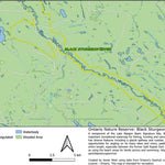 Ontario Nature Reserve: Black Sturgeon River Part 1 Preview 1