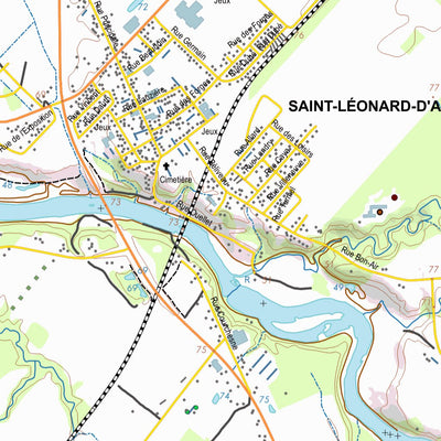 031I01 SAINT-LEONARD-D'ASTON Preview 3