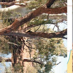 Gunbarrel Highway-7 Preview 3