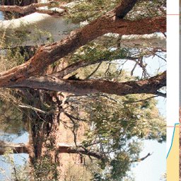 Gunbarrel Highway-7 Preview 3