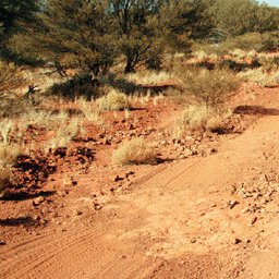 Gunbarrel Highway-16 Preview 3