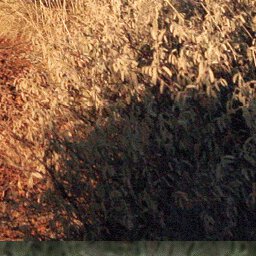 Gunbarrel Highway-19 Preview 3