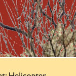 Gunbarrel Highway-2 Preview 3