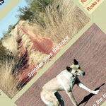 Gunbarrel Highway-14 Preview 3