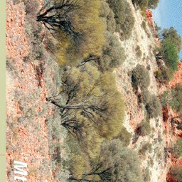 Gunbarrel Highway-13 Preview 3