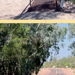 Kakadu NP-8 Preview 3