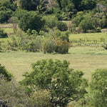 Kakadu NP-22 Preview 2