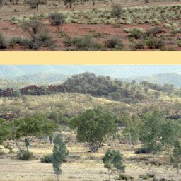 Alice to Yulara-4 Preview 3