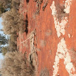 Anne Beadell Highway-10 Preview 3