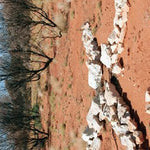 Anne Beadell Highway-12 Preview 3