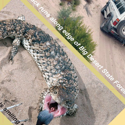 Big Desert-Sunset Country-10 Preview 3