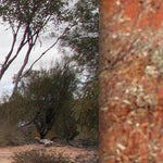 Big Desert-Sunset Country-31 Preview 3