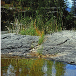 Republic-Three Rivers Ranger District Map West Preview 3