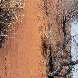 Simpson Desert-10 Preview 3