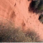 Simpson Desert-11 Preview 2