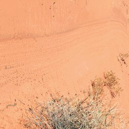 Simpson Desert-15 Preview 2