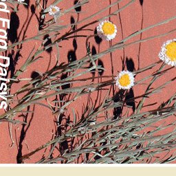 Simpson Desert-15 Preview 3