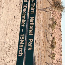 Simpson Desert-23 Preview 3