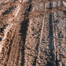 Simpson Desert-19 Preview 3