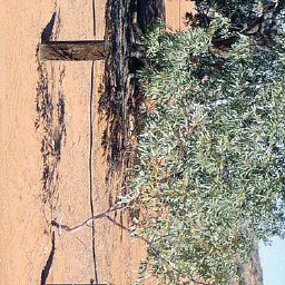 Simpson Desert-29 Preview 3