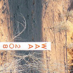 Simpson Desert-32 Preview 3