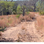 Binns Track-3 Preview 3
