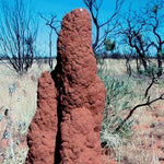 Binns Track-14 Preview 3