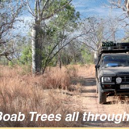 Binns Track-19 Preview 3