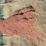 Binns Track-16 Preview 3