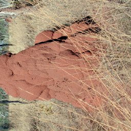 Binns Track-16 Preview 3