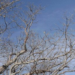 Binns Track-22 Preview 2