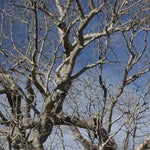 Binns Track-22 Preview 3