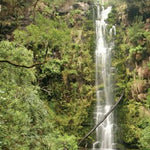 The Otway Range-3 Preview 3