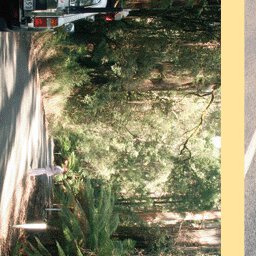 The Otway Range-7 Preview 3