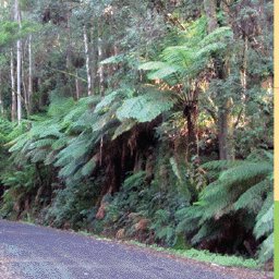 The Otway Range-30 Preview 3