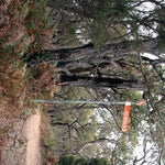 The Otway Range-16 Preview 3