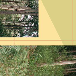 The Otway Range-19 Preview 2