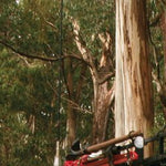 The Otway Range-35 Preview 3