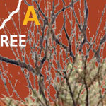 Birdsville Track-2 Preview 3