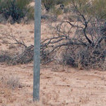 Birdsville Track-14 Preview 3