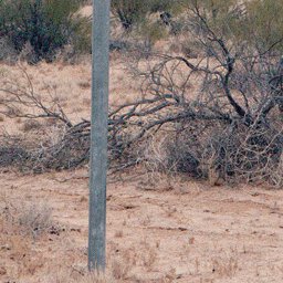 Birdsville Track-14 Preview 3