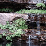 The Pilbara-3 Preview 3