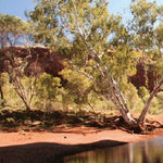 The Pilbara-7 Preview 3
