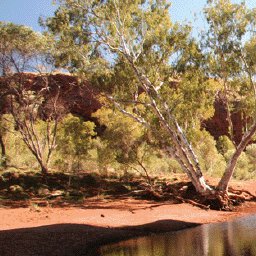 The Pilbara-7 Preview 3