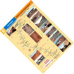 The Pilbara-8 Preview 1