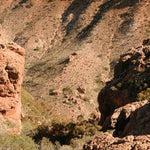 The Pilbara-20 Preview 3