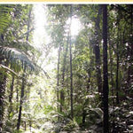 Cape York-5 Preview 3